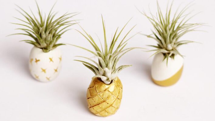 pate fimo